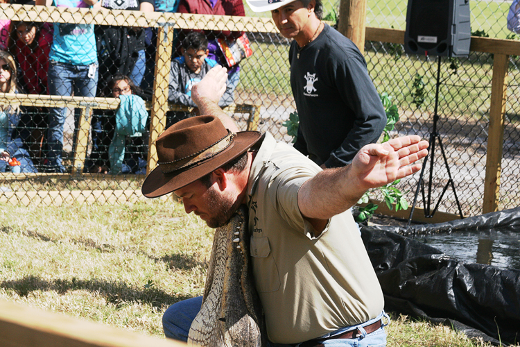 Brighton Field Days 05