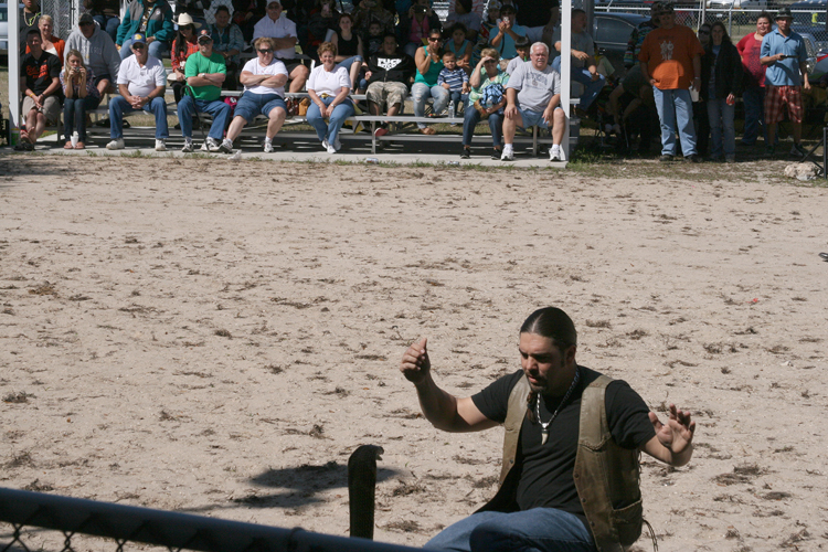 Brighton Field Days 08