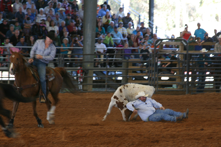 Brighton Field Days 15