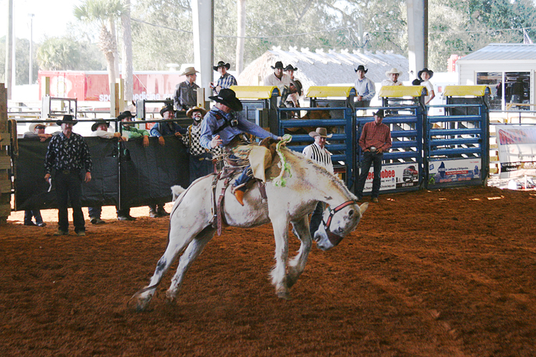 Brighton Field Days 21