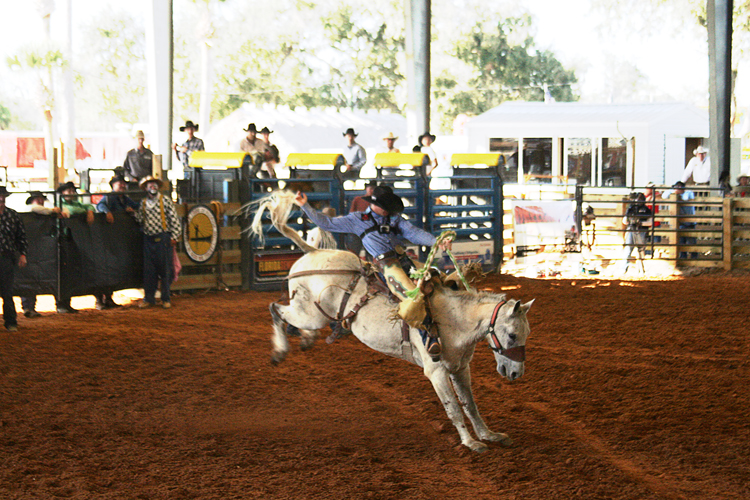 Brighton Field Days 22