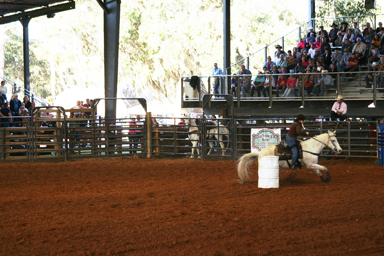 Brighton Field Days 26