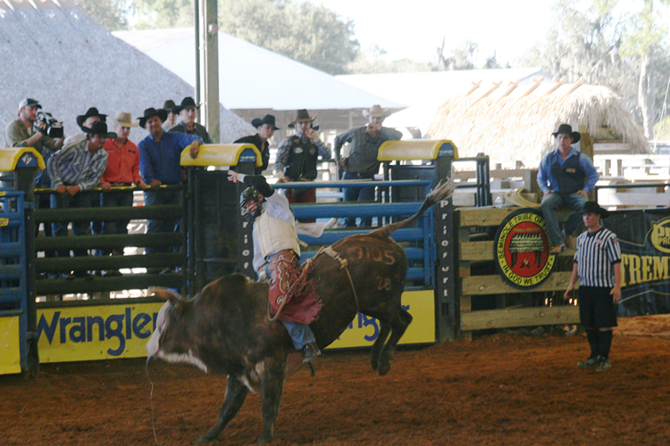 Brighton Field Days 33