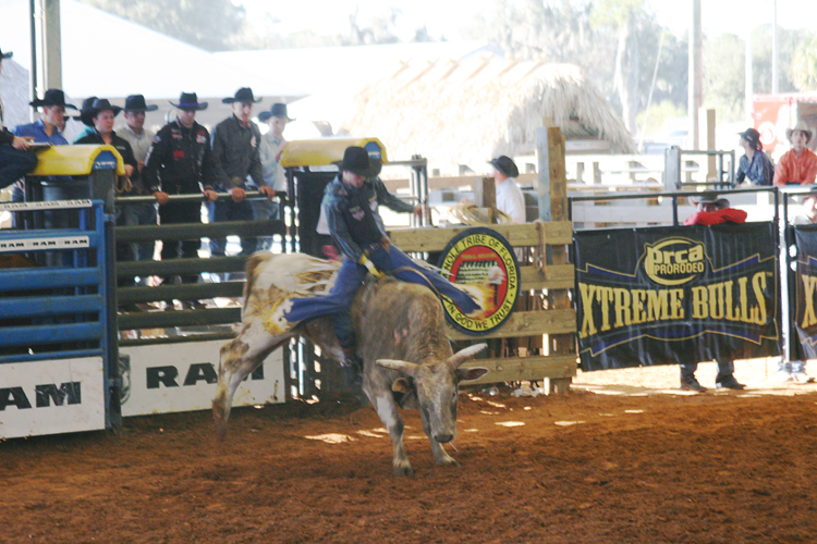 Brighton Field Days 36