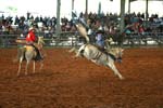 Brighton Field Days 25