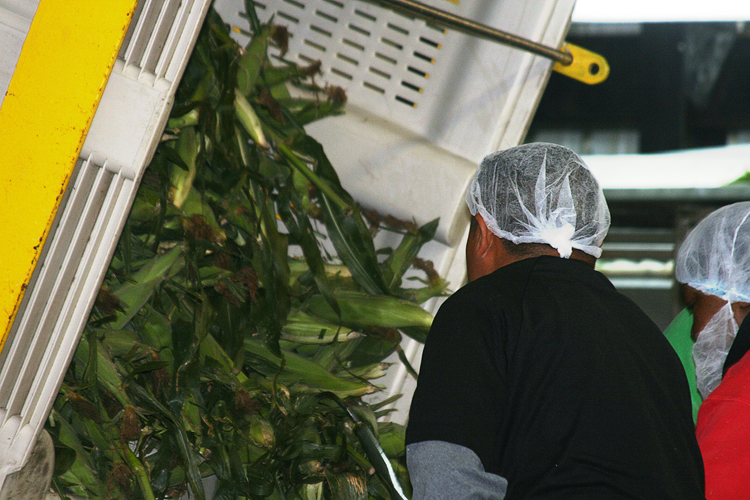 Packing Plant Tour 09