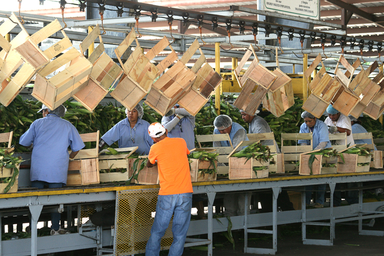 Packing Plant Tour 19