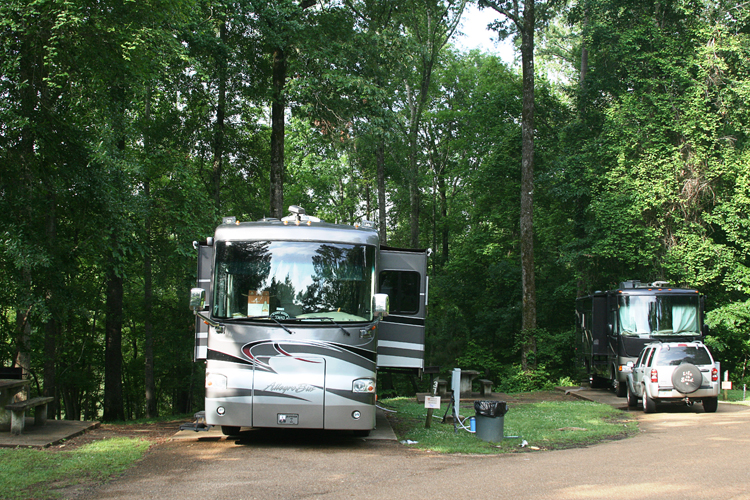 02 Natchez State Park