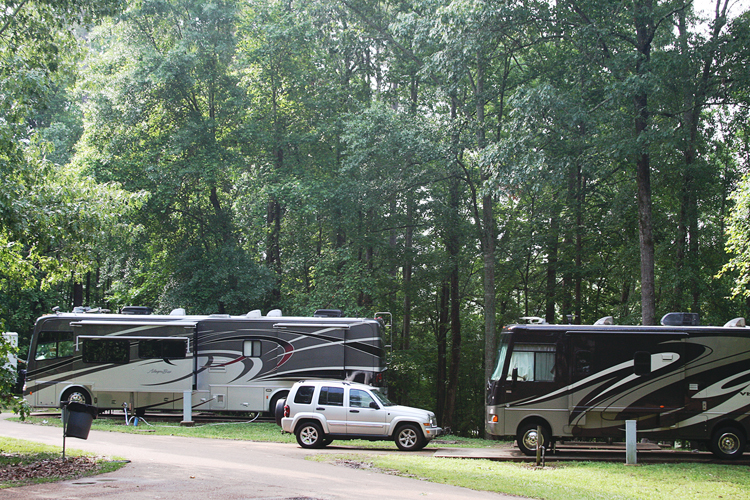 03 Natchez State Park