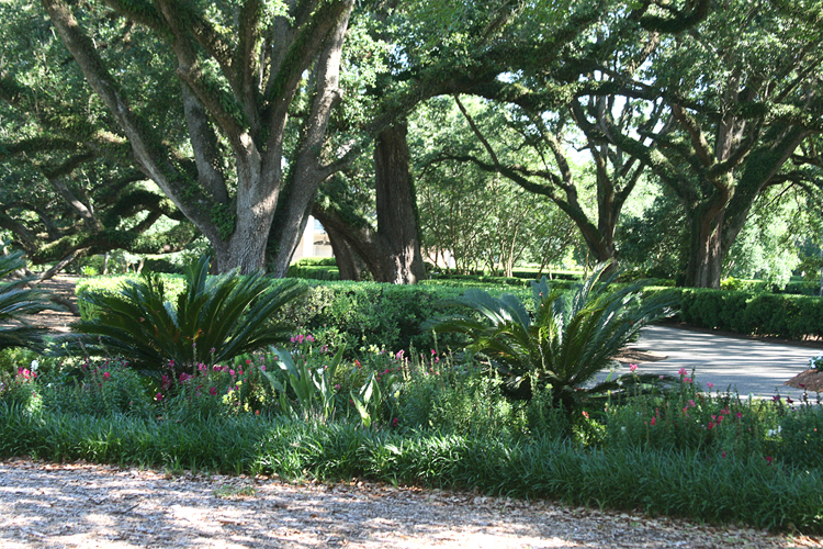 081 Oak Alley Plantation