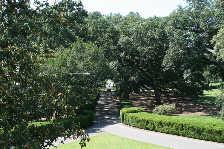 091 Oak Alley Plantation