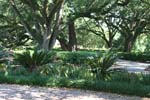 081 Oak Alley Plantation